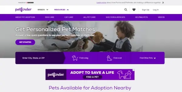 petfinder