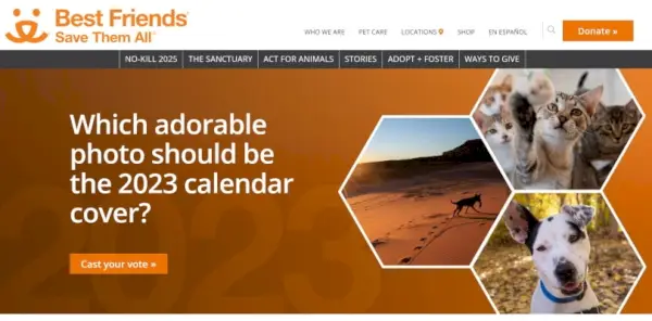 חברים הכי טובים