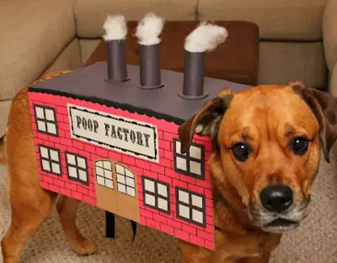 Fàbrica de caca (això