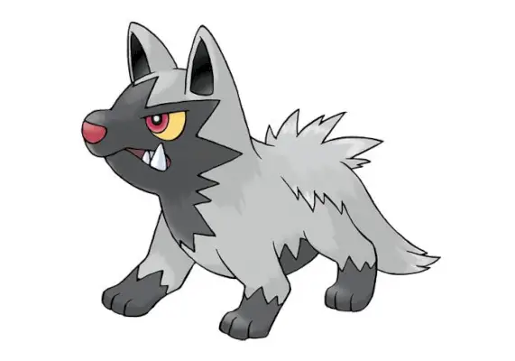 Poochyena
