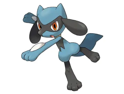 Riolu