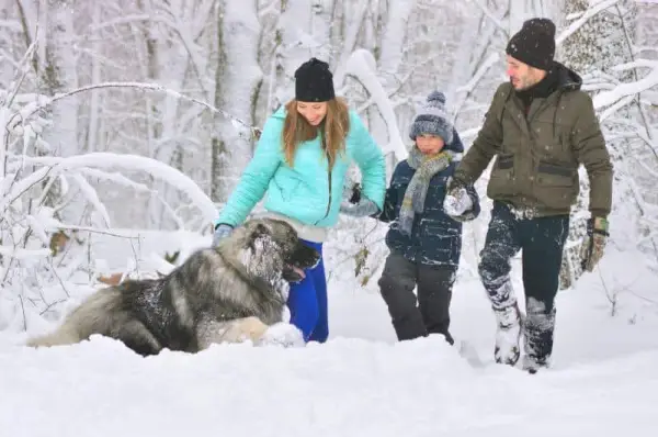 Famiglia felice con il cane da pastore caucasico gigante all'aperto in una foresta invernale