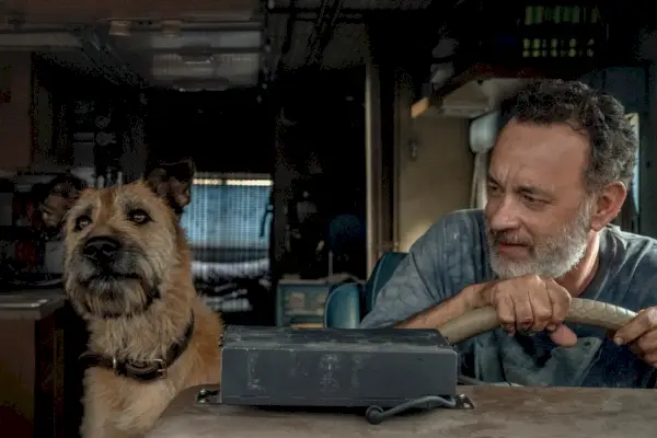 Seamus, Amblin Entertainment, Inc.