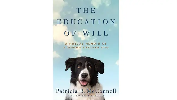 The Education of Will book cover
