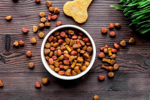 Karma dla psa w misce