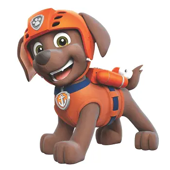 De quelle race de chien est Zuma de Paw Patrol ? Chiens de dessins animés présentés