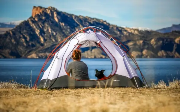 eine Person und ihr Hund in einem Campingzelt