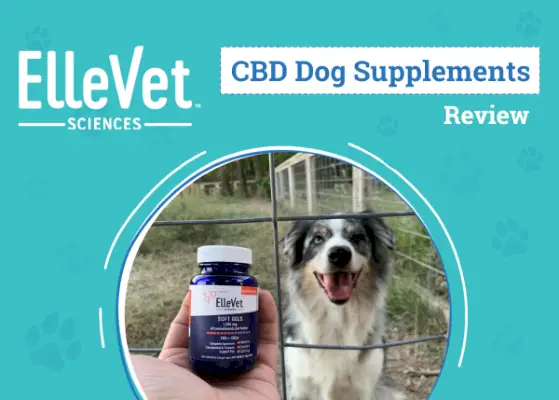 DOG_SAPR_ElleVet CBD 개 보조제