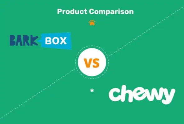 BarkBox vs Chewy Dog Subscription Box: confronto completo aggiornamento 2024