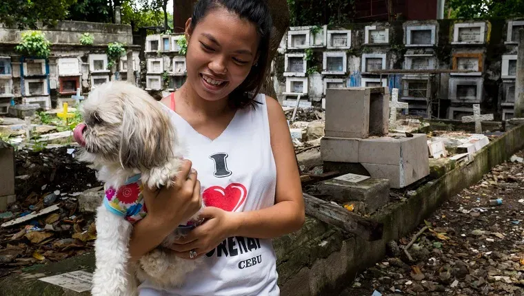 Jeune femme avec son chien au cimetière de Calamba Cebu City Cebu Philippines' title=