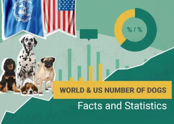 Fets i estadístiques sobre el nombre de gossos del món i dels EUA