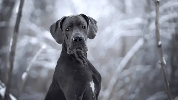 Kas ir žāvēšana?