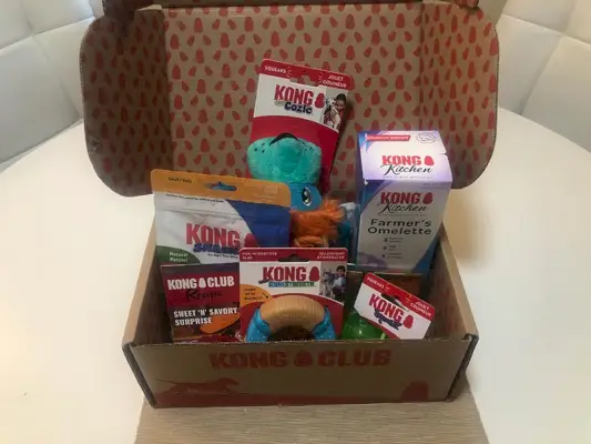 Kong Club-Abonnementbox