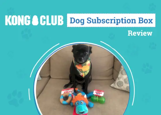 KONG Club Dog Subscription Box Review 2024: An Expert's Breakdown
