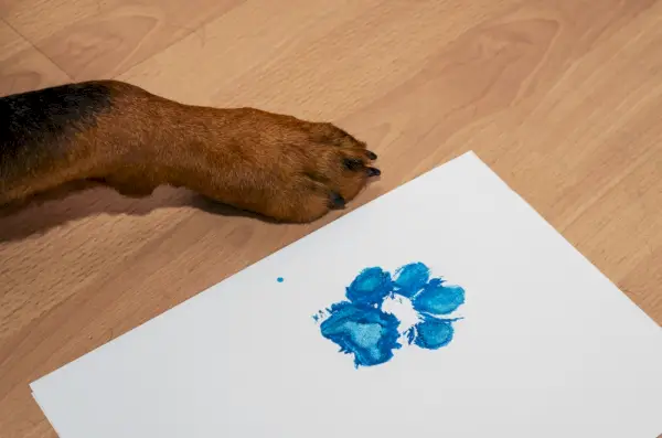 Donna che fa un massaggio al corpo di un cane