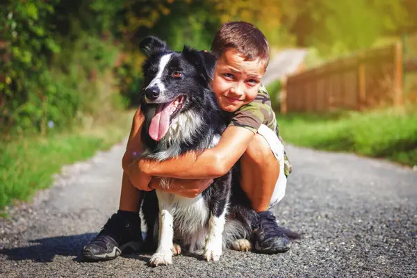 Garoto bonito abraça seu border collie na estrada