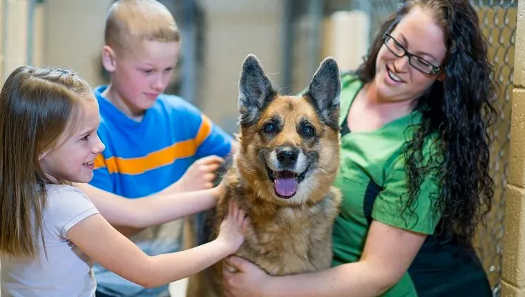 Kutyát örökbe fogadó gyerekek az állatmenhelyről.' title=