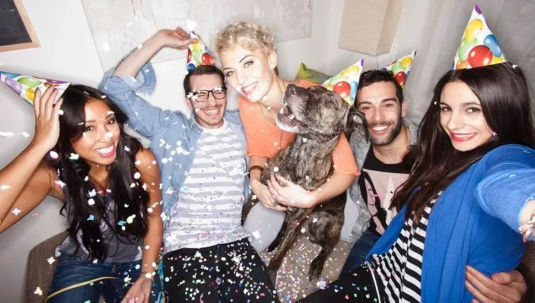 Mosolygó barátok fényképezkednek együtt' title=