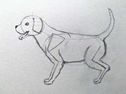 Com dibuixar un cadell dempeus 4