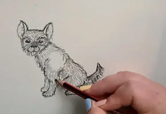 Com dibuixar un cadell assegut 11