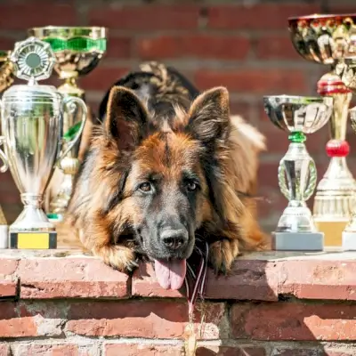 犬の名前を表示する