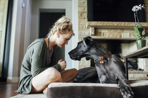 Las camas de perros humanos son reales