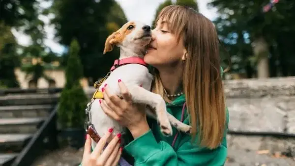 Por que os cães são melhores do que crianças