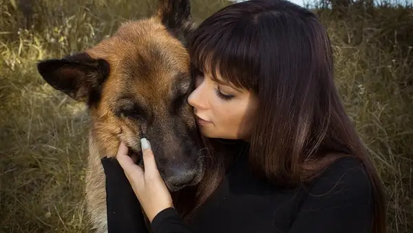 Küssen Sie den Tag Ihres Hundes: Wie Sie Ihren Hund beibringen, wie man umarmt