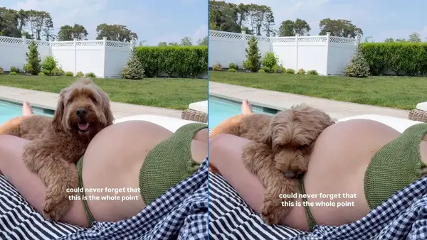 Video: suns baseinā ir ar grūtnieci māti