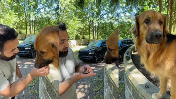 Неограниченный