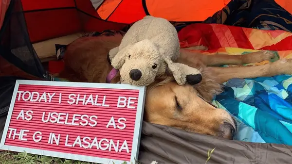 Un serviciu frumos de pensionare merge peste tot