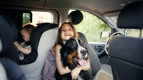 Zniżki na country są ograniczone