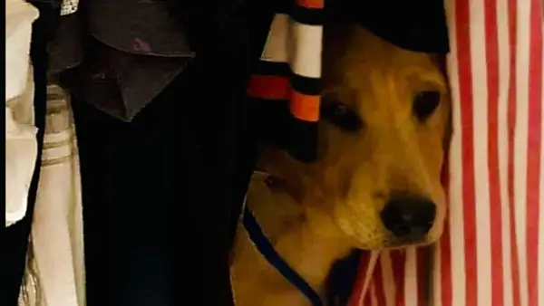 Saglabātais kucēns vairākas dienas paslēpa traumu pēc slēpšanās skapī