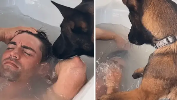 비디오 : 개가 주인이 욕조에 자신을 담그는 것을 나타낼 때 응답합니다