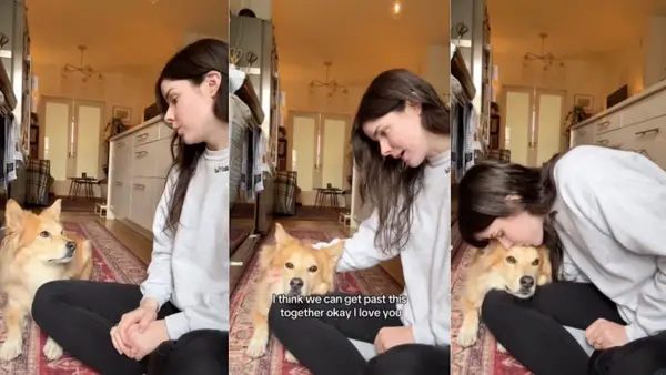 Video: Den tysta ägaren av det kvinnliga Stilla havet valdes