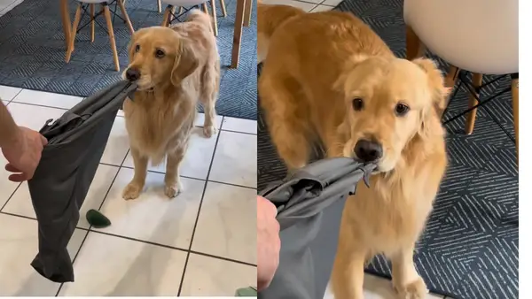 Videon visas i barnets ögon