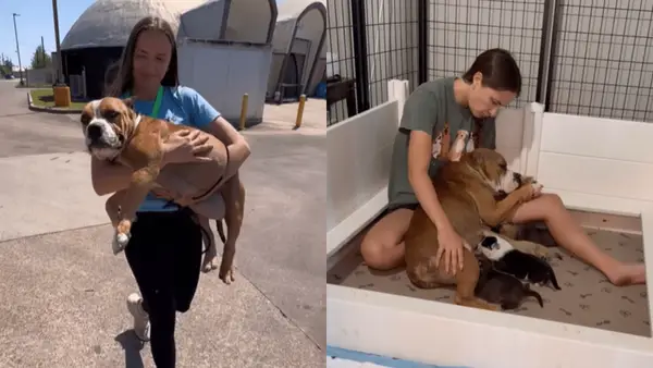 Matks film framställs som en valp och tog sin far