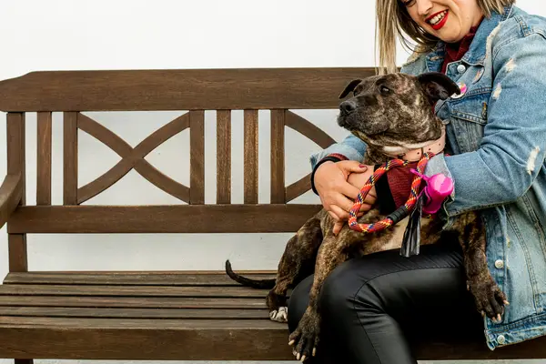 Suns atrod māju uz visiem laikiem līdz 866 dienām