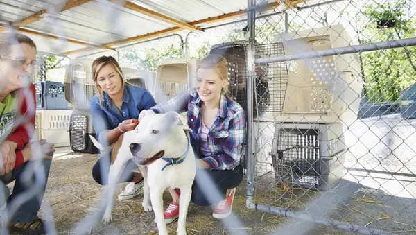 Атлантички опоравак након тешке подршке за регрутовање особља