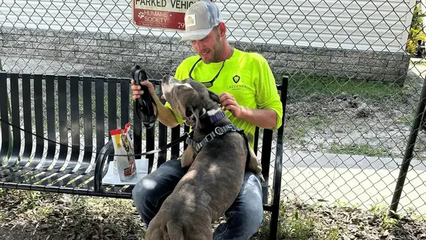 Sankarilliset koirat, joilla on 7 syöpämenetelmää, päättyvät suureen adoptiohistoriaan
