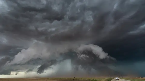 33 cães chegam a Chicago depois que um tornado danifica um refúgio de animais no Texas