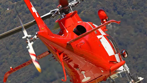 אדם שמחפש כלב למפולת מפולת צבעונית