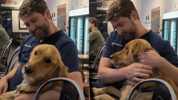 Olyan jó a videó, amelyben az állatorvosát csókkal nedvesítik az állatorvosával