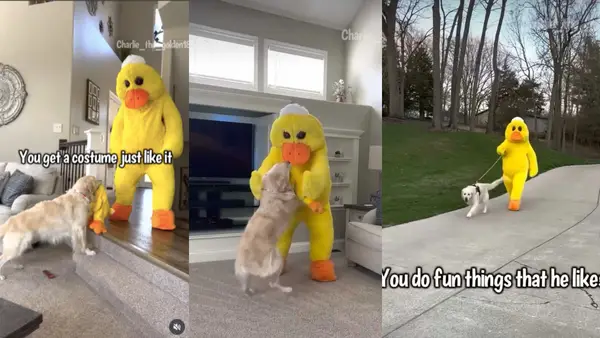 ビデオ：お気に入りのおもちゃの「Lifesizeバージョン」を取得するための犬の反応は陽気です