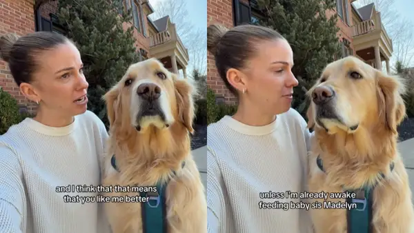 비디오 : 불 속성