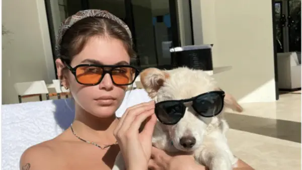 El Perro de Kaia Gerber Miro : Raza, Edad, ECC