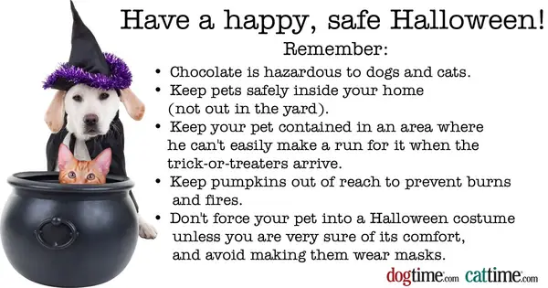 Saglabājiet Helovīna drošību