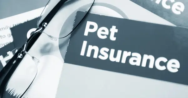 カリフォルニア州の法律は、ペットの健康保険に消費者保護を追加しています