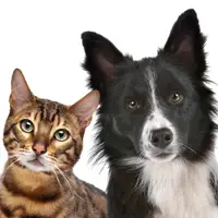 Padomi dzīvnieku veselībai, lai noskaidrotu, ka jums jāsaglabā medicīniskās izmaksas