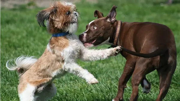 Keep These First Meetings Short